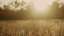 Autumn Meadow 12 Still
