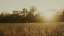 Autumn Meadow 13 Still