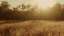 Autumn Meadow 15 Still