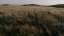 Golden Pastures 01 Still
