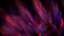 Refraction 8 Still