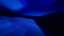 Transcendent 05 Still