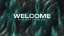Wondrous Welcome Alt Still